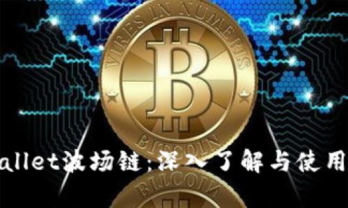 tpWallet波场链：深入了解与使用指南