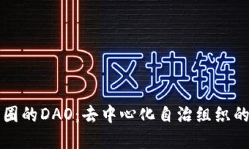 深入了解币圈的DAO：去中心化自治组织的崛起与未来