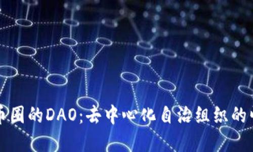 深入了解币圈的DAO：去中心化自治组织的崛起与未来
