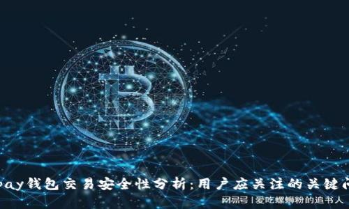 Gopay钱包交易安全性分析:用户应关注的关键问题