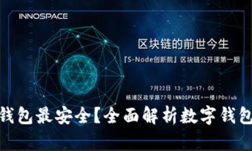 哪个数字钱包最安全？全面解析数字钱包的安全性