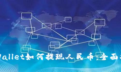 tpWallet如何提现人民币：全面指南