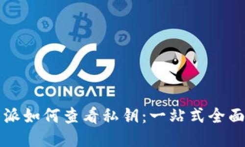 比特派如何查看私钥：一站式全面指南
