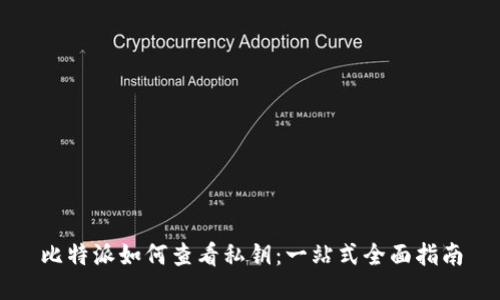 比特派如何查看私钥：一站式全面指南
