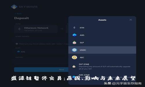 盛源链暂停交易：原因、影响与未来展望