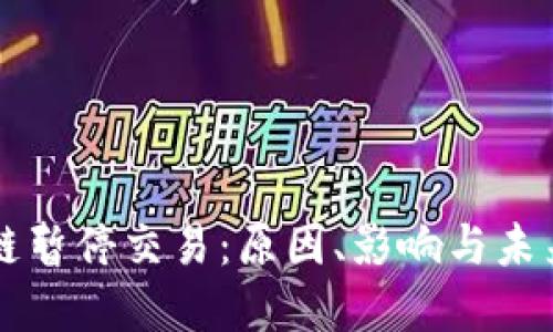 盛源链暂停交易：原因、影响与未来展望
