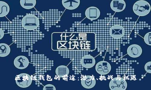 区块链钱包的前途：潜力、挑战与机遇