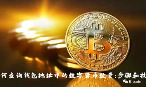 如何查询钱包地址中的数字货币数量：步骤和技巧
