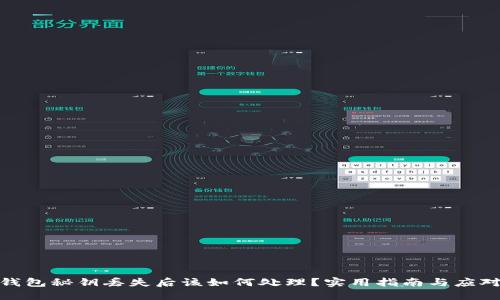 加密钱包秘钥丢失后该如何处理？实用指南与应对策略