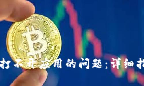 如何解决tpWallet打不开应用的问题：详细指南与常见问题解答