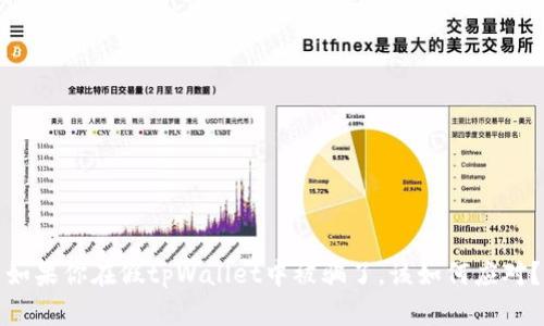 如果你在假tpWallet中被骗了，该如何应对？