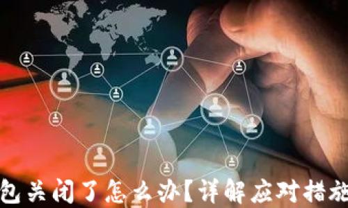 数字资产钱包关闭了怎么办?详解应对措施与预防技巧
