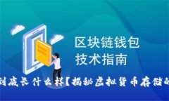 加密钱包到底长什么样？