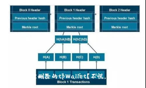 如何找回被删除的tpWallet？不慌，我们来聊聊！