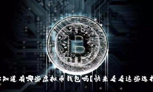 你知道有哪些虚拟币钱包吗？快来看看这些选择！