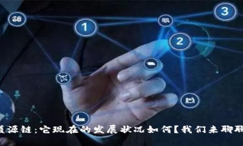 盛源链：它现在的发展状况如何？我们来聊聊！