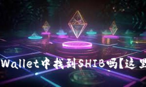 你知道如何在TP Wallet中找到SHIB吗?这里有你需要的一切!