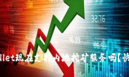 你知道tpWallet现在支持内地挖矿服务吗？快来了解一下！