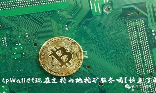 你知道tpWallet现在支持内地挖矿服务吗？快来了解一下！