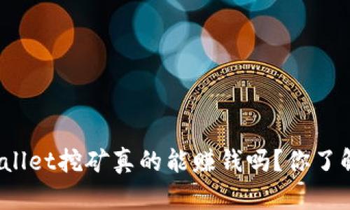 tpWallet挖矿真的能赚钱吗？你了解吗？