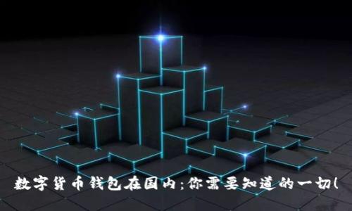 数字货币钱包在国内:你需要知道的一切!
