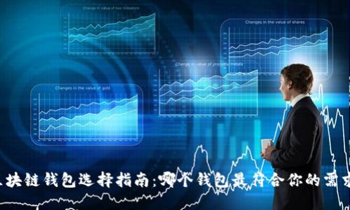 区块链钱包选择指南:哪个钱包最符合你的需求?