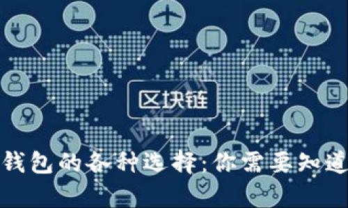 探索加密货币钱包的各种选择:你需要知道的名称大全集