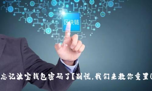 忘记波宝钱包密码了？别慌，我们来教你重置！