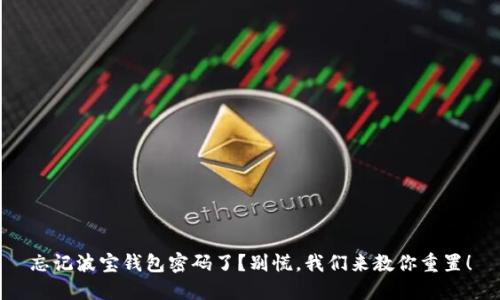 忘记波宝钱包密码了？别慌，我们来教你重置！