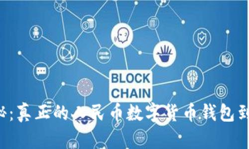 真相大揭秘：真正的人民币数字货币钱包到底是什么？