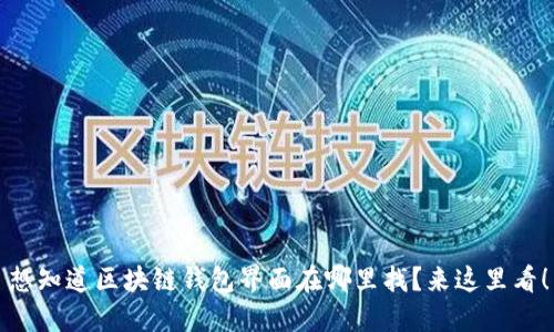 想知道区块链钱包界面在哪里找?来这里看!