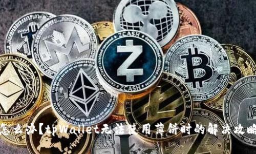 怎么办?tpWallet无法使用薄饼时的解决攻略