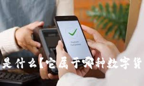 :TP钱包是什么?它属于哪种数字货币钱包?