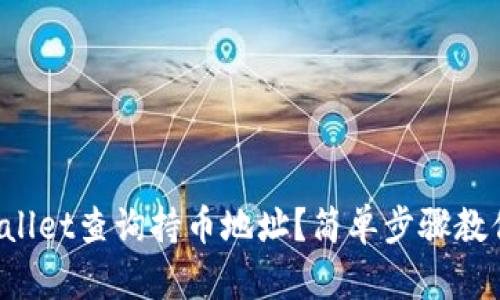 如何在tpWallet查询持币地址?简单步骤教你轻松搞定!