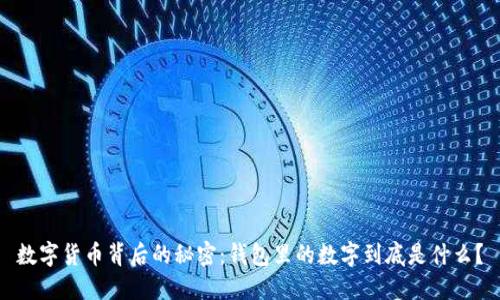 数字货币背后的秘密:钱包里的数字到底是什么?