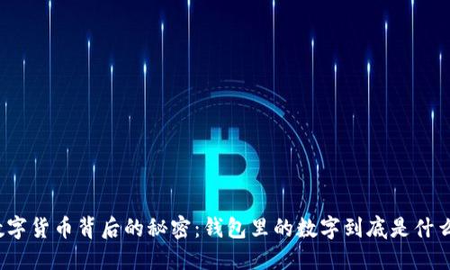 数字货币背后的秘密:钱包里的数字到底是什么?
