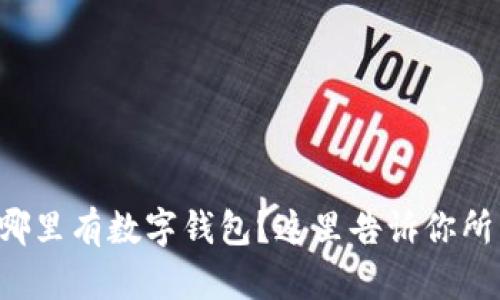想知道哪里有数字钱包?这里告诉你所有选择!