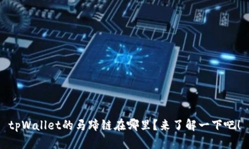 tpWallet的马蹄链在哪里?来了解一下吧!