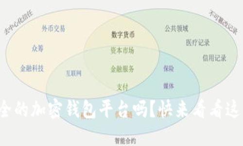 你知道哪些安全的加密钱包平台吗?快来看看这些可靠的选择!