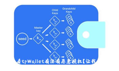 怎么查看tpWallet有没有恶意授权?让我们来聊聊!