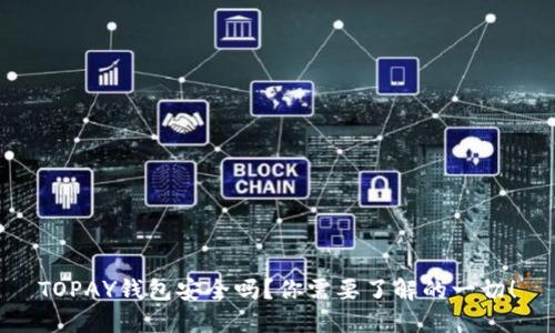 TOPAY钱包安全吗?你需要了解的一切!