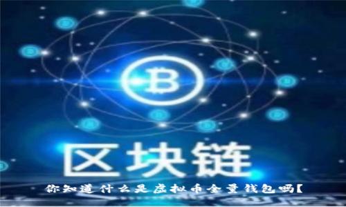 你知道什么是虚拟币全量钱包吗?