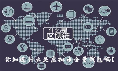 你知道什么是虚拟币全量钱包吗?