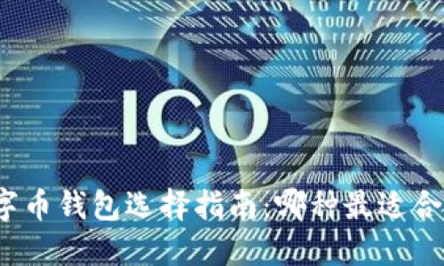 数字币钱包选择指南:哪种最适合你?