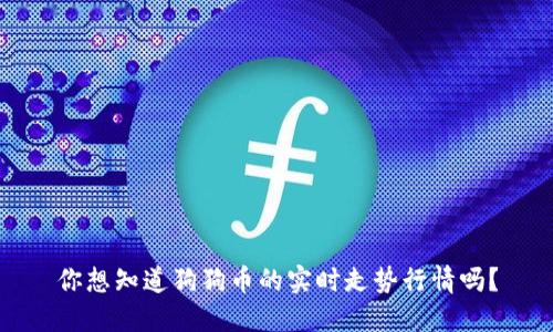你想知道狗狗币的实时走势行情吗？