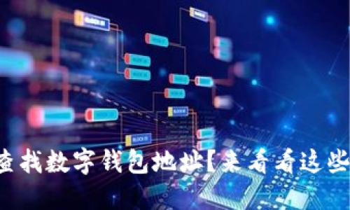 怎么快速查找数字钱包地址？来看看这些实用方法！