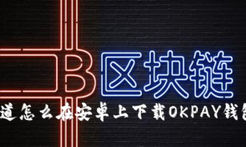 你知道怎么在安卓上下载OKPAY钱包吗?