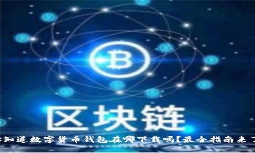 你知道数字货币钱包在哪下载吗？最全指南来了！