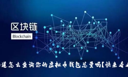 你知道怎么查询你的虚拟币钱包总量吗?快来看看吧!