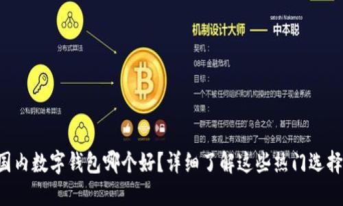 国内数字钱包哪个好？详细了解这些热门选择！